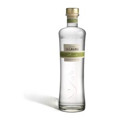 Grappa Monovitigno Moscato Distilleria Segnana Lunelli