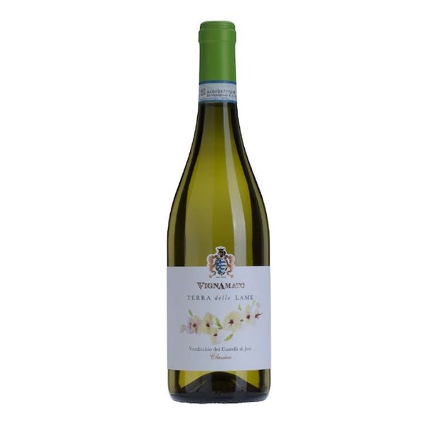 Verdicchio dei Castelli di Jesi Classico Terra delle Lame 2022 Vignamato Verdicchio dei Castelli di Jesi Classico Terra delle Lame 2022 Vignamato