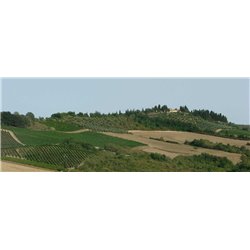 Chianti Classico Riserva Viacosta Docg - Fattoria di Rodano