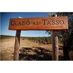 Vermentino Bolgheri doc 2015 Tenuta Guado al Tasso (Antinori)