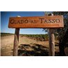 Vermentino Bolgheri doc 2015 Tenuta Guado al Tasso (Antinori)