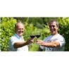 Pinot Grigio Vigneti delle Dolomiti Igt 2017 Pisoni