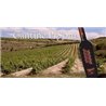 Pinot Grigio Vigneti delle Dolomiti Igt 2017 Pisoni