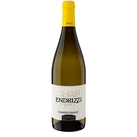 White Wine Chardonnay Trentino Doc 2019 Winery Endrizzi