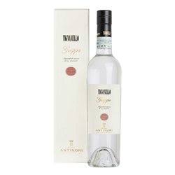 Grappa Tignanello 40° Antinori