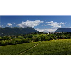 flave-rosato-spumante-brut-millesimato-bepin-de-eto