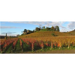 Ribolla Gialla  Vinnae  2016 Jermann