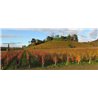 chardonnay 2016 Jermann