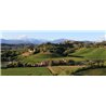 chardonnay 2016 Jermann