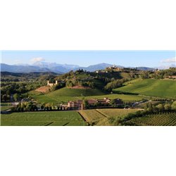 sauvignon 2016 Jermann
