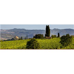 Brunello di Montalcino 2016 Mastrojanni