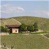Langhe D.O.C. Arneis Blangé 2017 Ceretto