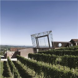Langhe D.O.C. Arneis Blangé 2017 Ceretto