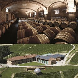 Langhe D.O.C. Arneis Blangé 2017 Ceretto