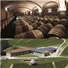 Langhe D.O.C. Arneis Blangé 2017 Ceretto