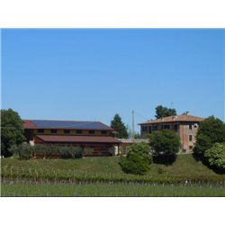 Bianco di Custoza D.O.P. 2017 Bergamini
