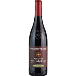 Amarone della Valpolicella Classico DOCG Bio 2019  Domini Veneti