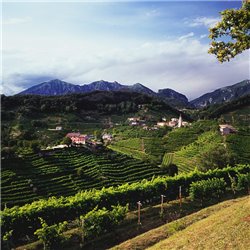 Prosecco Superiore di Valdobbiadene DOCG Jeio Colmei Bisol