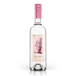 Grappa di Pinot Nero Vigneti delle Dolomiti - Pojer e Sandri