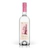 Grappa di Pinot Nero Vigneti delle Dolomiti - Pojer e Sandri