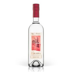 Grappa di Rosso Faye Vigneti delle Dolomiti - Pojer e Sandri