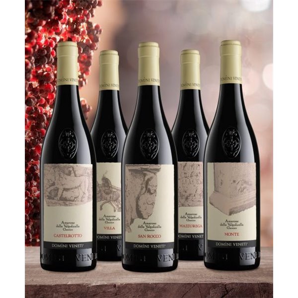 Cofanetto di 5 Amarone Cru della Valpolicella - Domini Veneti Cofanetto di 5 Amarone Cru della Valpolicella - Domini Veneti