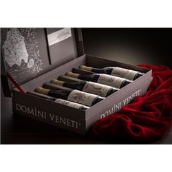 Cofanetto di 5 Amarone Cru della Valpolicella  - Domini Veneti