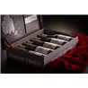 Box Set of 5 Cru Amarones of Valpolicella - Domini veneti