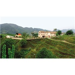 Valdobbiadene Prosecco Superiore D.O.C.G. – EXD – Spumante Extra Dry Duca di Dolle