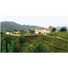Valdobbiadene Prosecco Superiore D.O.C.G. – BRT – Spumante Brut Duca di Dolle