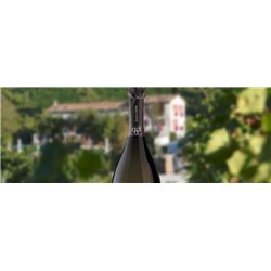 Valdobbiadene Prosecco Superiore D.O.C.G. – BRT – Spumante Brut Duca di Dolle