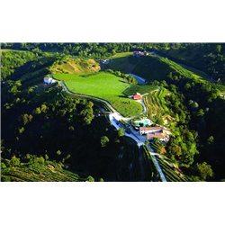 Valdobbiadene Prosecco Superiore D.O.C.G. – BRT – Spumante Brut Duca di Dolle