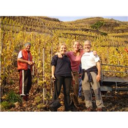 Riesling Schieferterassen 2017 Löwenstein