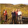 Riesling Schieferterassen 2017 Löwenstein