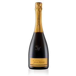 Conegliano Valdobbiadene D.O.C.G. Extradry Prosecco Superiore Millesimato  - BiancaVigna