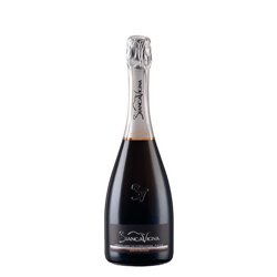 Prosecco Conegliano Valdobbiadene Docg Brut Nature Rive di Ogliano BiancaVigna -cz