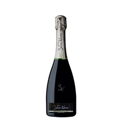 3-Flaschen-Packung Prosecco Conegliano Valdobbiadene Docg Brut Bio BiancaVigna -cz