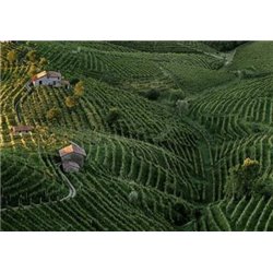 VALDOBBIADENE PROSECCO SUPERIORE DOCG EXTRA DRY - COL DE SALICI