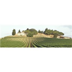 VALDOBBIADENE PROSECCO SUPERIORE DOCG EXTRA DRY - COL DE SALICI