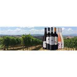 BOMARZO ROSATO TOSCANA IGT 2019 - Cantina Grillesino