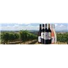 BOMARZO ROSATO TOSCANA IGT 2019 - Cantina Grillesino