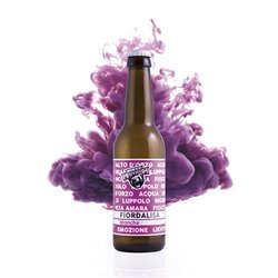 Confezione da 12 Bottiglie 33cl BIRRA ARTIGIANALE Fiordalisa- BIRRIFICIO MANEBRA