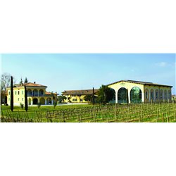 Rosa dei Frati Riviera del Garda Bresciano Doc  2018 Cà dei Frati