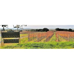 Insoglio del Cinghiale 2016 Tenuta Campo di Sasso - Antinori