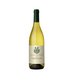 White Wine Anna Pinot Bianco Alto Adige Turmhof Tiefenbrunner -cz