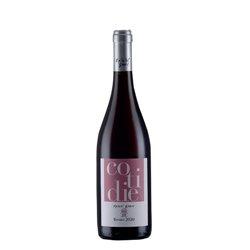 Confezione da 6 Bottiglie Vino Cotidie Rosato Calabria Società Agricola Spiriti Ebbri -cz