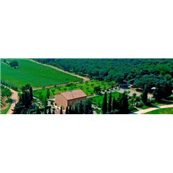 Insoglio del Cinghiale 2016 Tenuta Campo di Sasso - Antinori