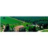 Insoglio del Cinghiale 2016 Tenuta Campo di Sasso - Antinori