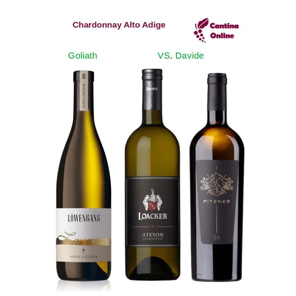 Davide VS. Goliath Chardonnay Alto Adige Riserva 3 x 0,75 L. Davide VS. Goliath Chardonnay Alto Adige Riserva 3 x 0,75 L.