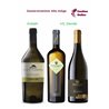 Davide VS. Goliath  - Gewürztraminer  Alto Adige  - 3 x 0,75 L.
